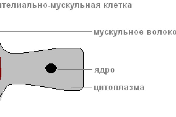 Darknet ссылка кракен kraken014 com