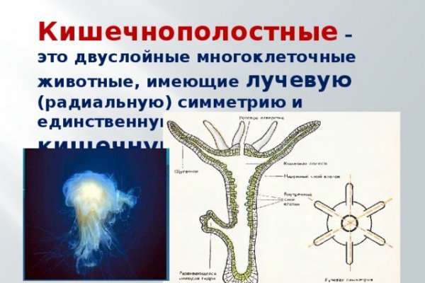 Найдется все kraken 2krn cc что это